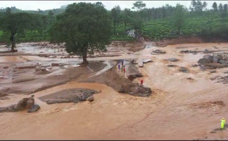 ವಯನಾಡು ಭೂಕುಸಿತ ದುರಂತ ಸಾವಿನ ಸಂಖ್ಯೆ 156ಕ್ಕೆ ಏರಿಕೆ!