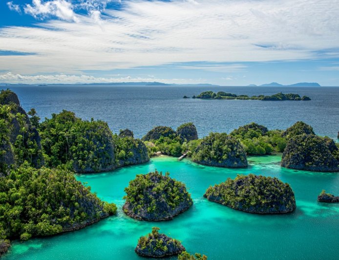 ಇಂಡೋನೇಷ್ಯಾ , ಕಾಂಬೋಡಿಯಾ , ವಿಯೆಟ್ನಾಮ್ , ನೇಪಾಳ